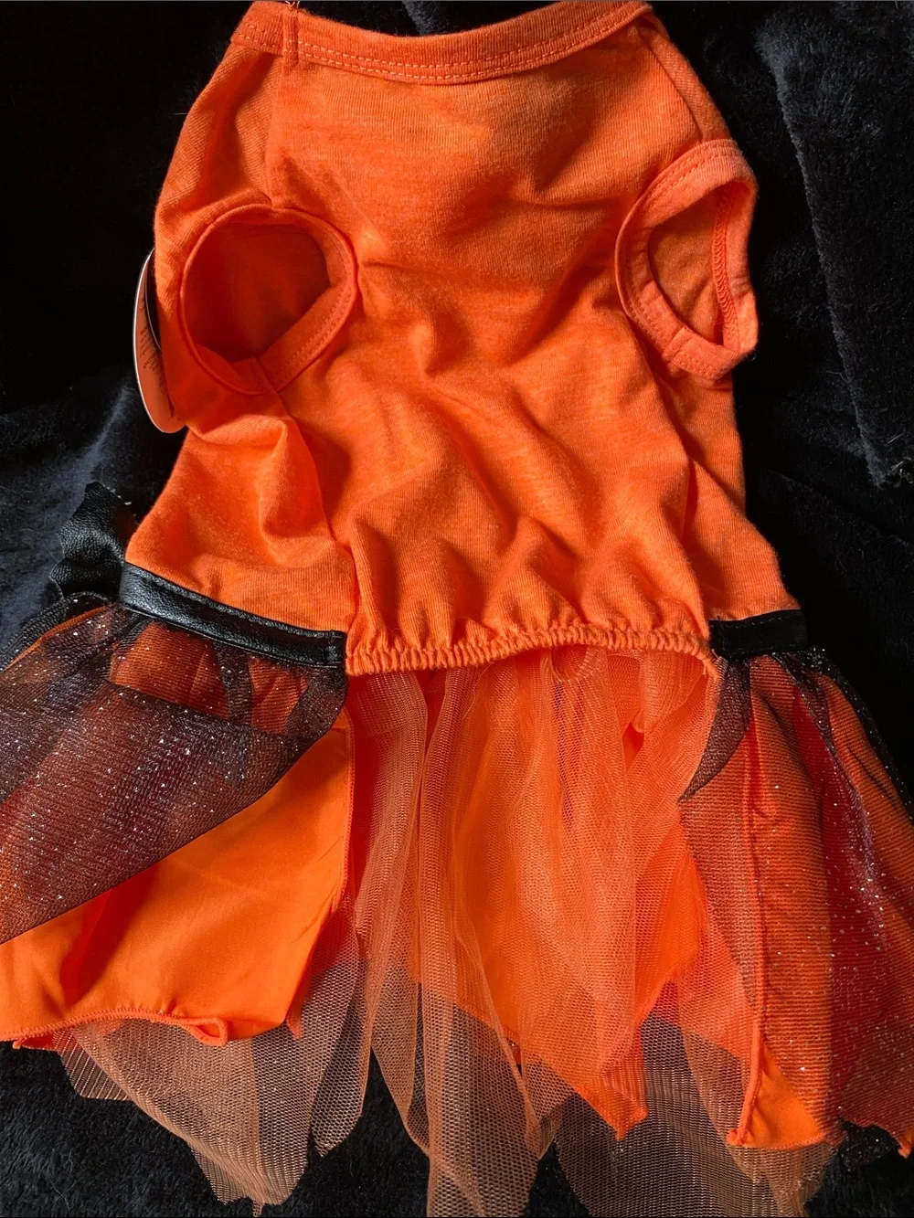 Two Doggie Costumes:  Halloween Qween - small and Rock Star - medium